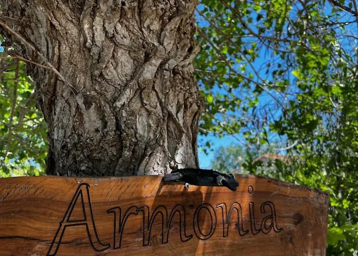 Armonia & *